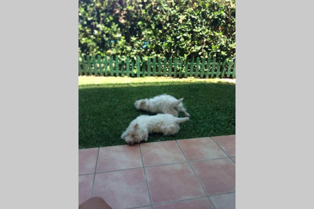 Jardines De Denia I Daire Dış mekan fotoğraf
